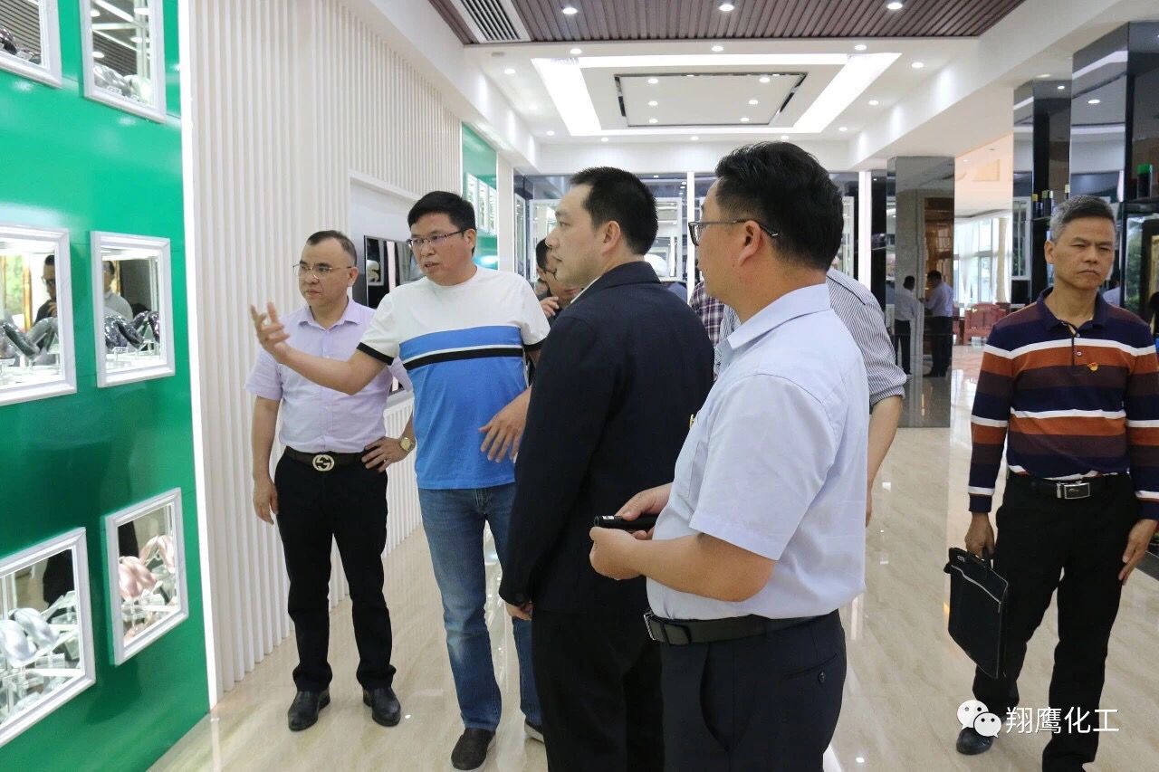 熱烈歡迎“清遠市英德市”兩級人民政府主要領(lǐng)導(dǎo)一行蒞臨我司